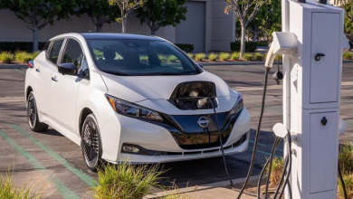 تراخيص السيارات السيارات المرخصة