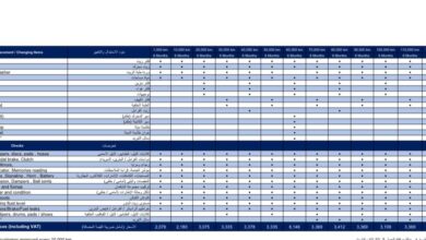 صيانة بيجو 301