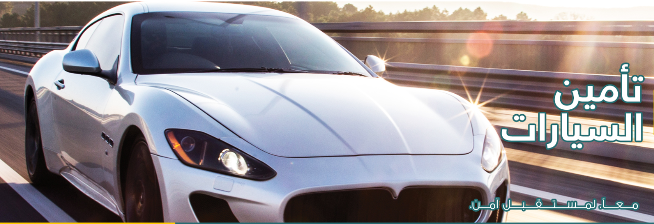 بيت التأمين المصرى السعودى