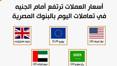 أسعار العملات ترتفع أمام الجنيه في تعاملات اليوم بالبنوك المصرية