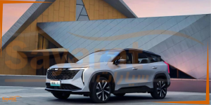 جيلي ستار راي