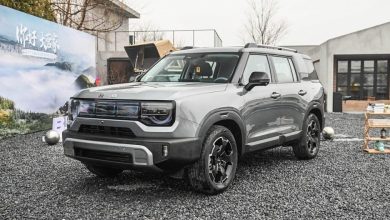 سيارة بايك BJ30