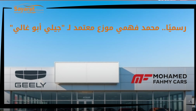 جيلي أبو غالي