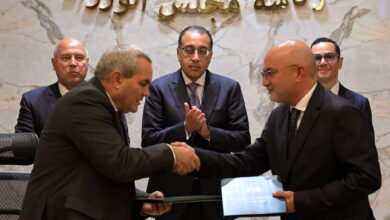 تصنيع سيارات MG صناعة السيارات