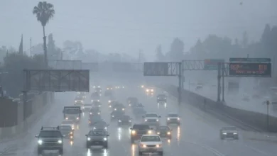 القيادة أثناء الشبورة المائية ي