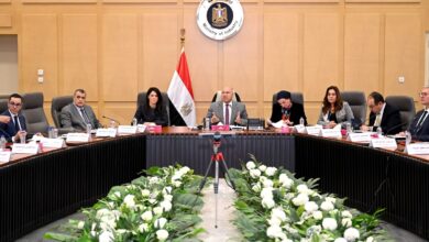 إطارات السيارات