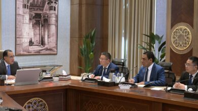 صناعة السيارات في مصر 2