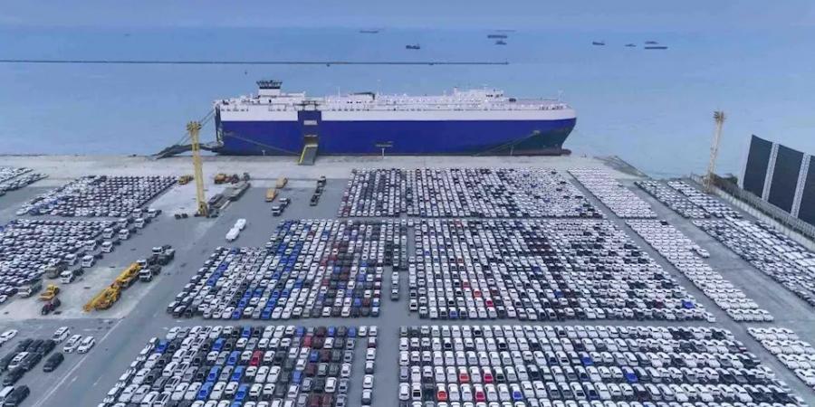 الإفراج عن السيارات المحتجزة في الموانئ المصرية
الإفراج عن سيارات المعاقين