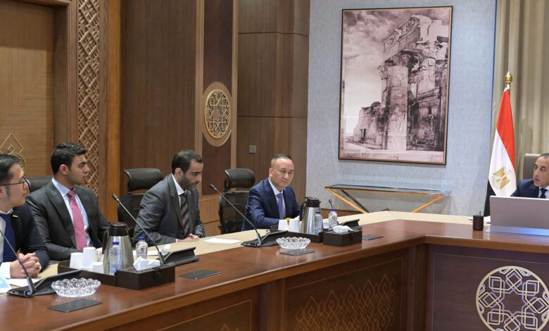 مصنع جيلي في مصر