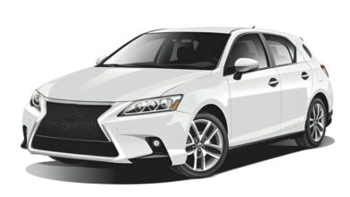 اكسسوارات حماية من الشمس