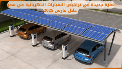 تراخيص السيارات الكهربائية