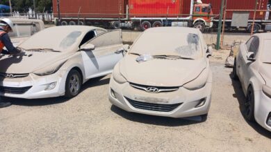 مزاد سيارات جمرك العين السخنة