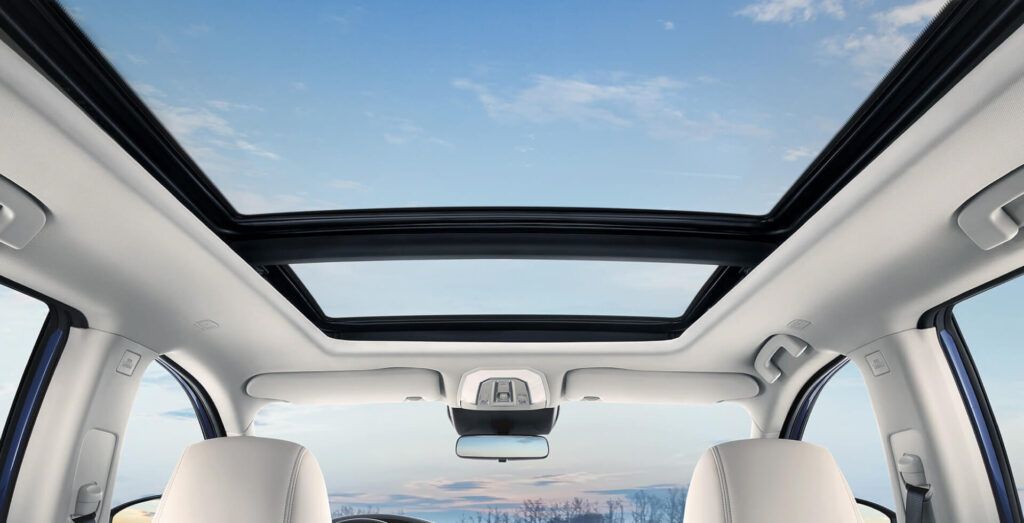 فينوتشيا ستار Venucia Star