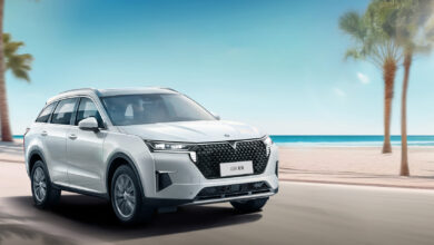 فينوتشيا ستار Venucia Star