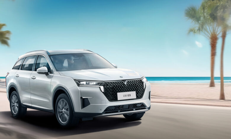 فينوتشيا ستار Venucia Star