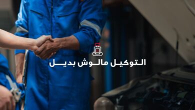 تويوتا إيجيبت تُطلق عروض صيفية على الصيانة