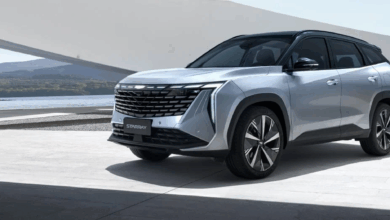 جيلي ستار راي