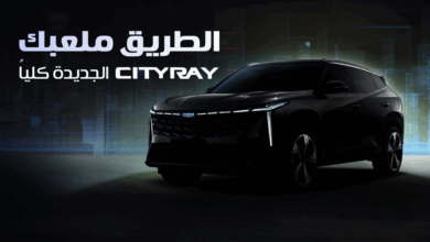 جيلي سيتي راي Cityray Cityray 2026