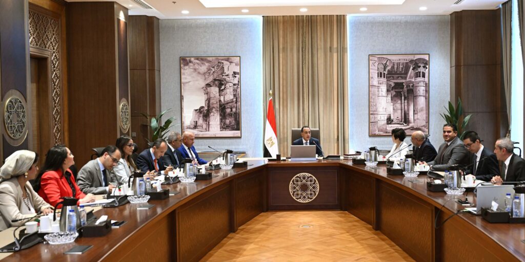 الحكومة تبحث مع BYD والمنصور شراكة استراتيجية لتوطين المركبات الكهربائية محليًا