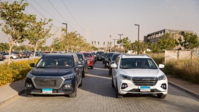 قصراوي جروب