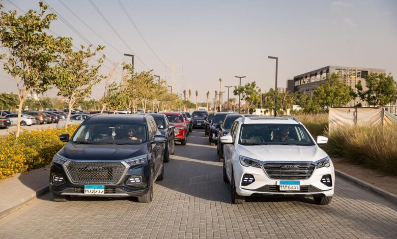 قصراوي جروب