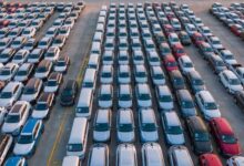 تراخيص السيارات في مصر يناير 2026