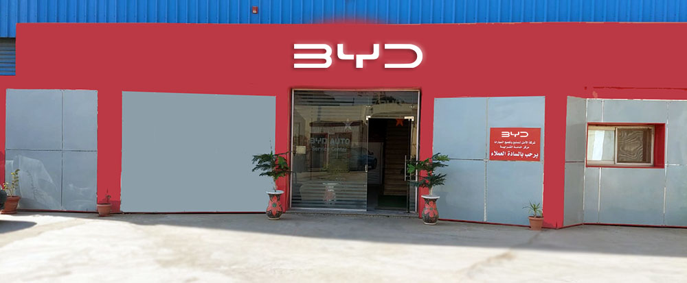 ضبط زوايا BYD في مصر