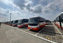 المنصور للسيارات